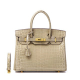 Glossy Croc - Texture Leather Satchel – Structured Designer - Inspired Handbag with Gold Accents - in Apricot | Arvea Bags